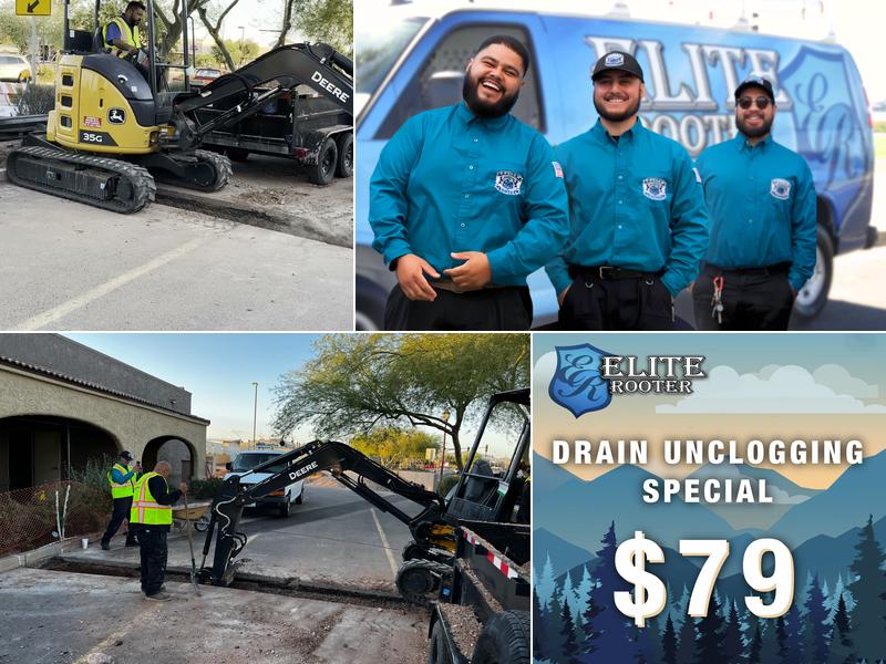 Elite Rooter Denver