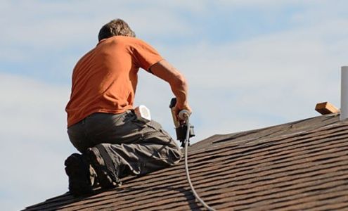 Palm Tree Roofing LLC