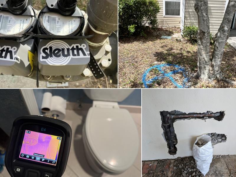 Sleuth Leak Detection