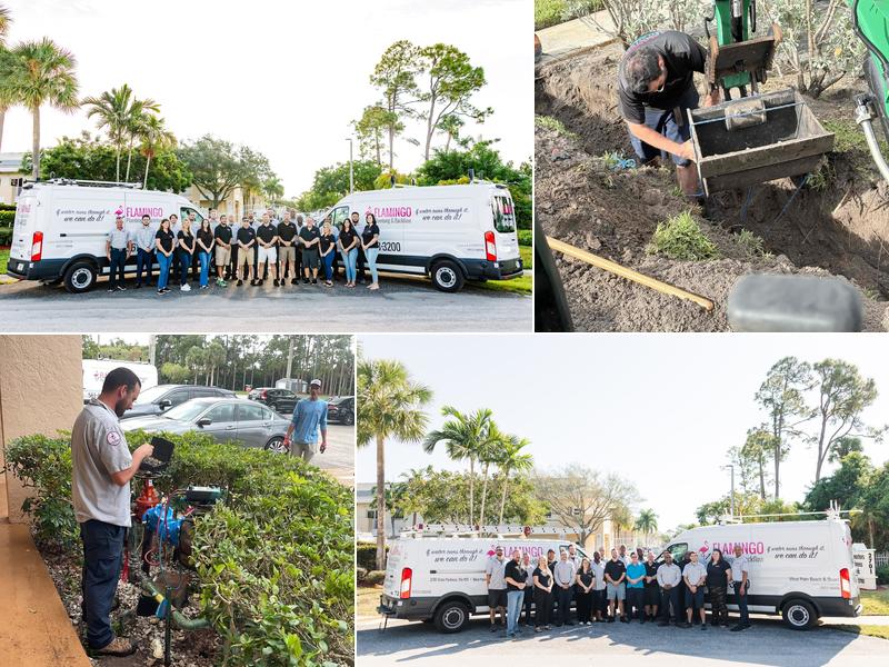 Flamingo Plumbing & Backflow