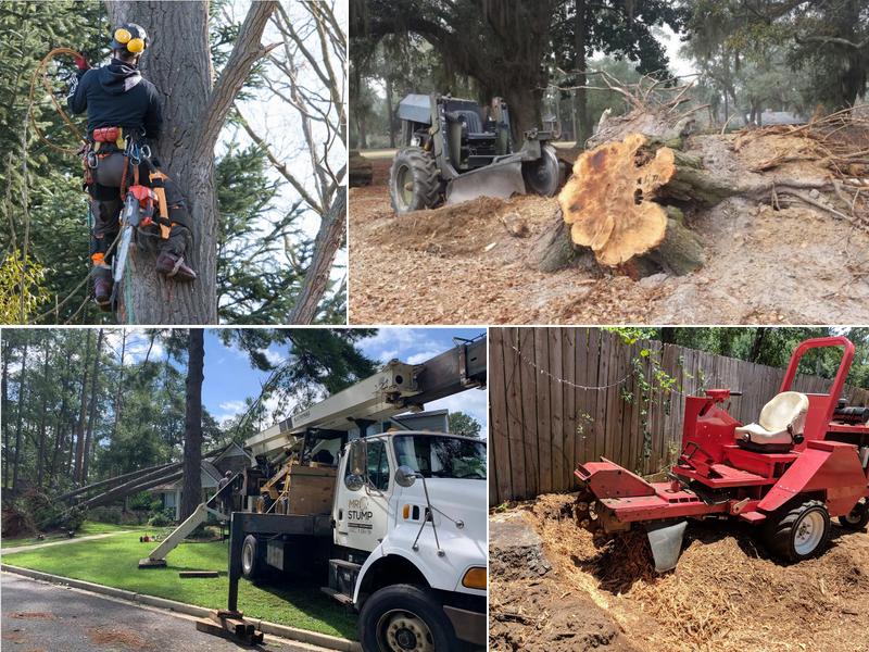 Mr. Stump | Stump Grinding & Treeservice