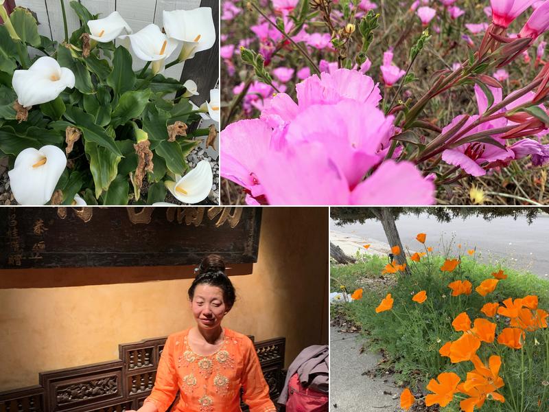 ZZZ Acupuncture / Moon Acupuncture