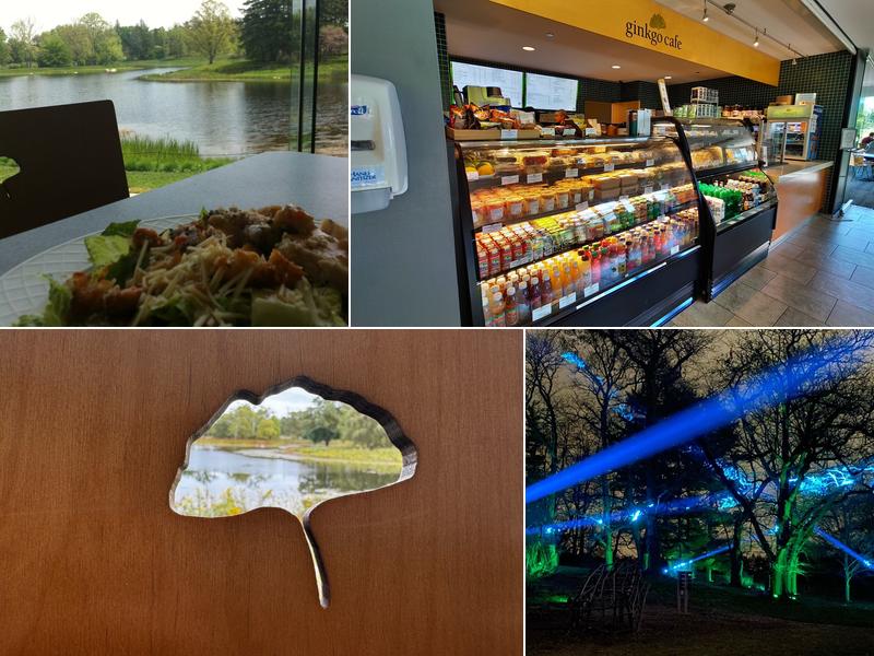 Ginkgo Restaurant and Café