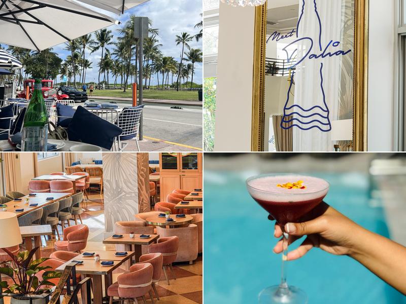 Meet Dalia - Mediterranean restaurant in Miami Beach