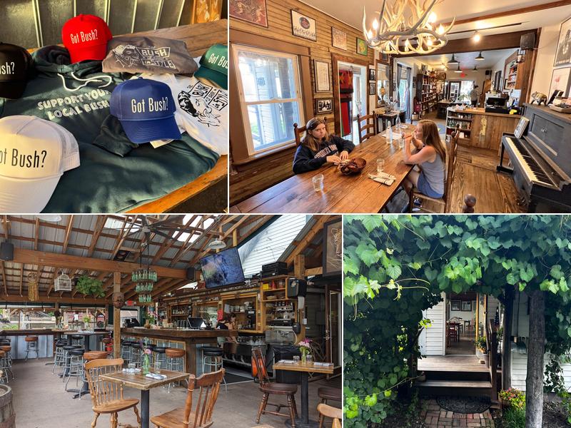 Bush Farmhouse 151 S Ridgeway Ave, Black Mountain