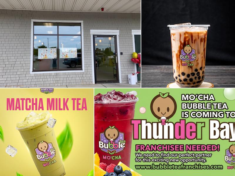 Qing's Mo Cha Bubble Tea 20 Sconticut Neck Rd, Fairhaven