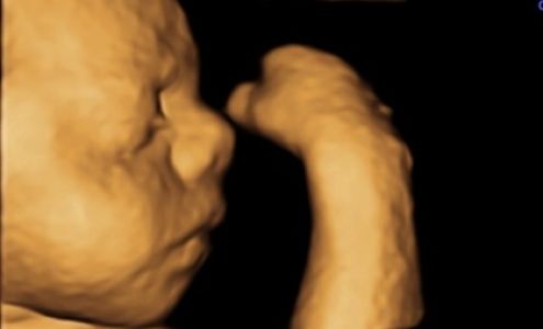 Living Images Ultrasound Studio Shalimar