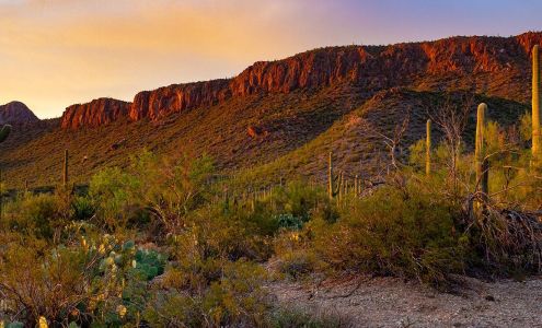 Tucson Family and Geriatric Medicine: Karen Lee, MD