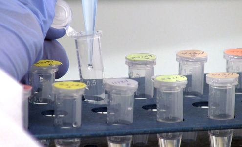 DNA Diagnostics Center (DDC) Los Angeles