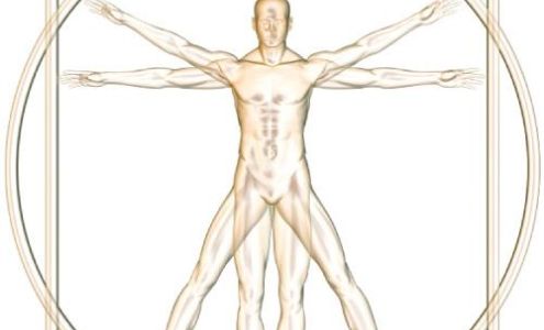 Advanced Physical Therapy - Terry Humann Chiropractic