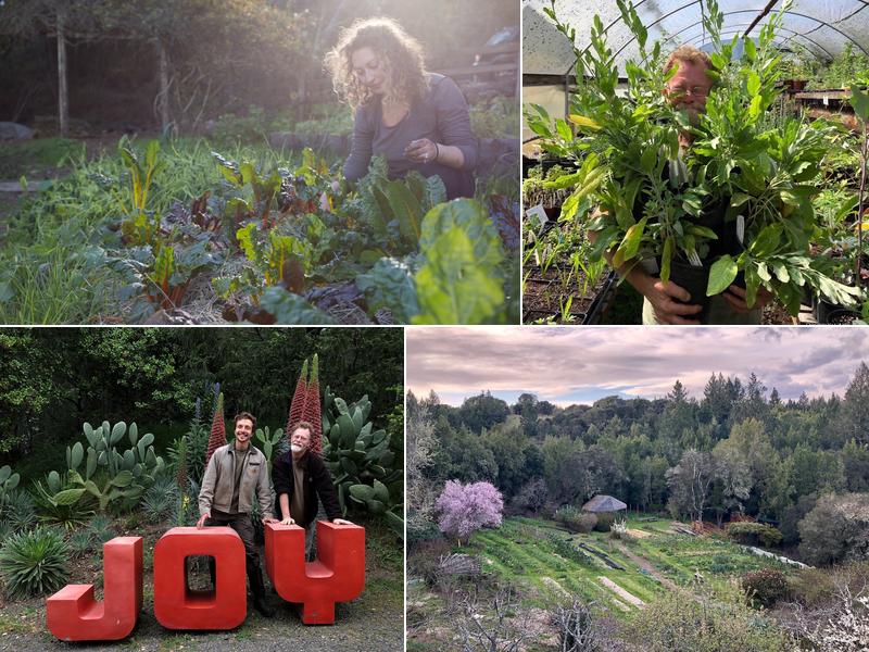 Occidental Arts & Ecology Center