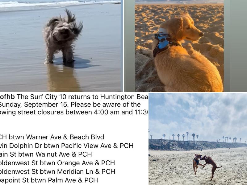 Dog Beach | Huntington Beach