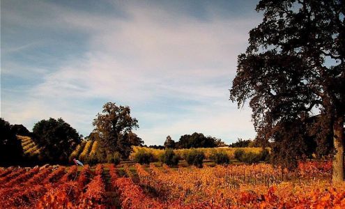 Amador Vintners Association 9313 Pacific St, Plymouth California 95669