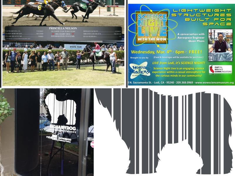 Big Hairy Dog Information Systems