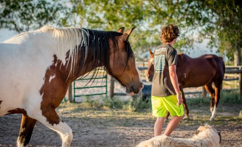 Hope Farms 47695 Foxwood Dr, Elizabeth Colorado 80107