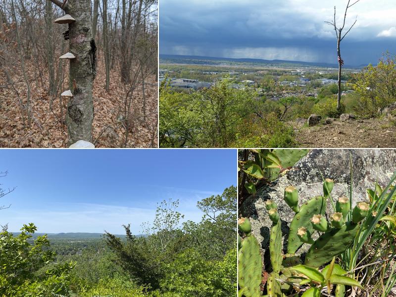 Peter's Rock Association