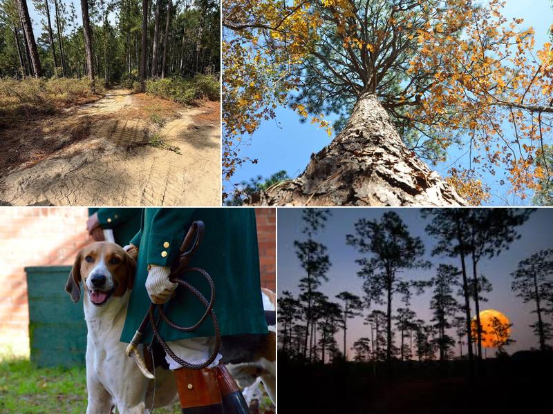 Hitchcock Woods Foundation