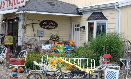 Nanni's Over the Fence