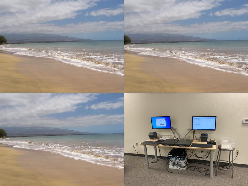 Maui Integrated Computer Consultants Inc.