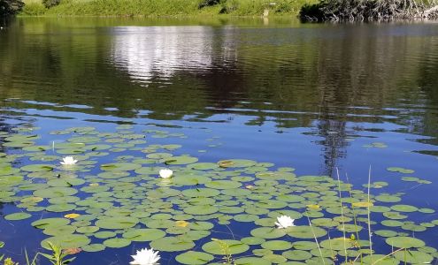 Boothbay Region Land Trust (Oak Point Farm) 60 Samoset Rd, Boothbay Harbor Maine 04538