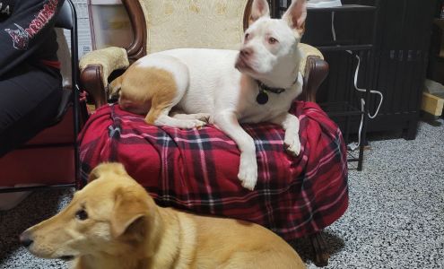 Hawk Creek Animal Shelter