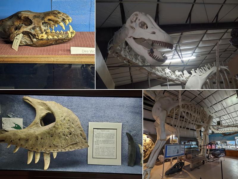 The Montana Dinosaur Center