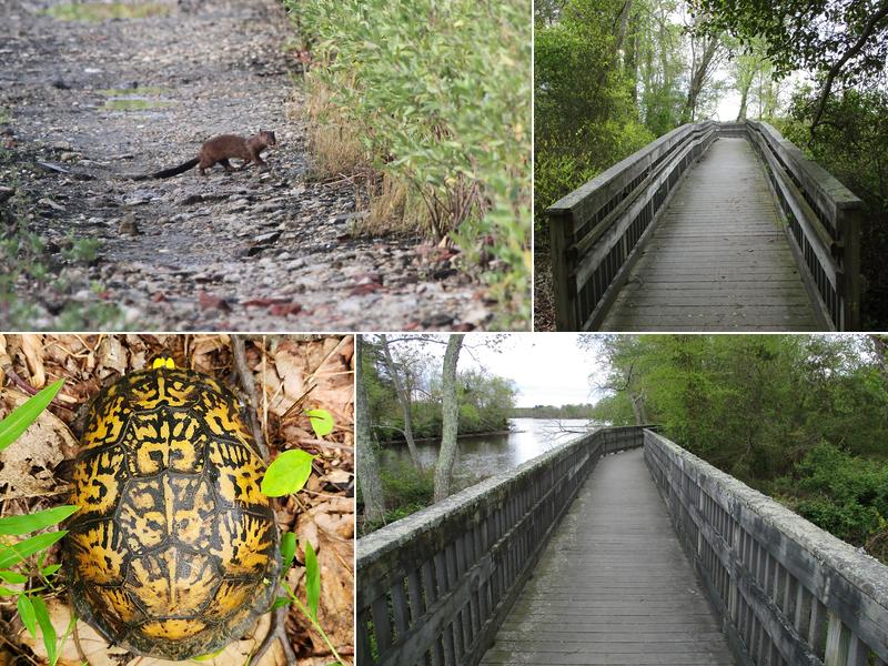 Natural Lands' Peek Preserve
