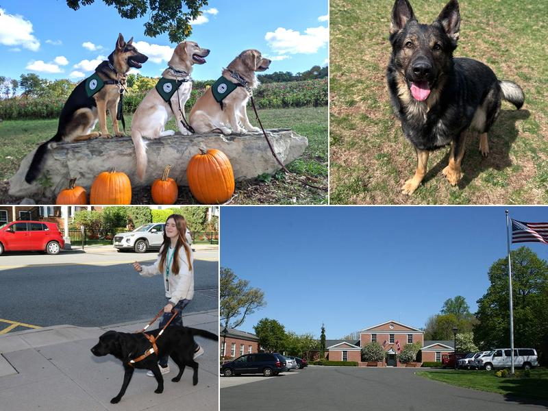 The Seeing Eye, Inc.