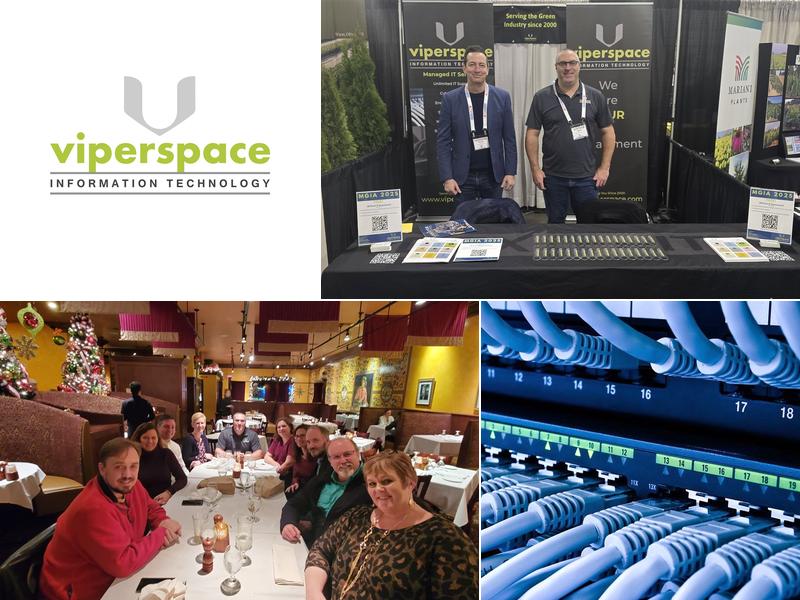 Viperspace Information Technology