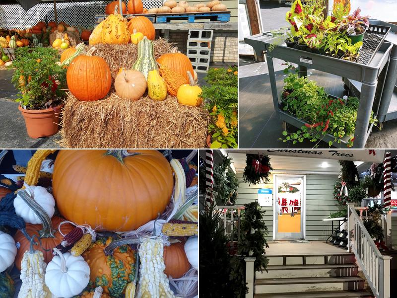 First Step Farm Retail Store