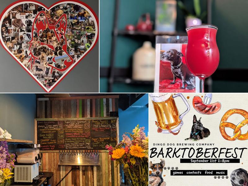 Dingo Dog Brewing Company