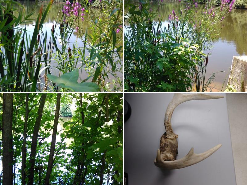 CompuCom Systems Inc