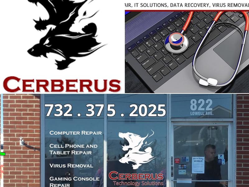 Cerberus Technology Solutions