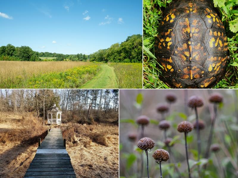 Natural Lands' Green Hills Preserve