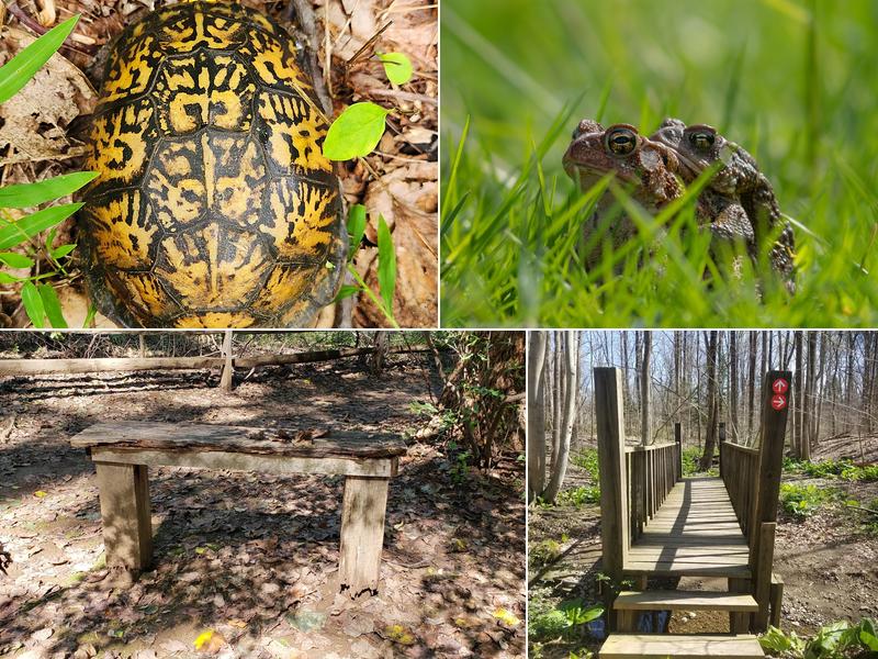 Natural Lands' Stone Hills Preserve