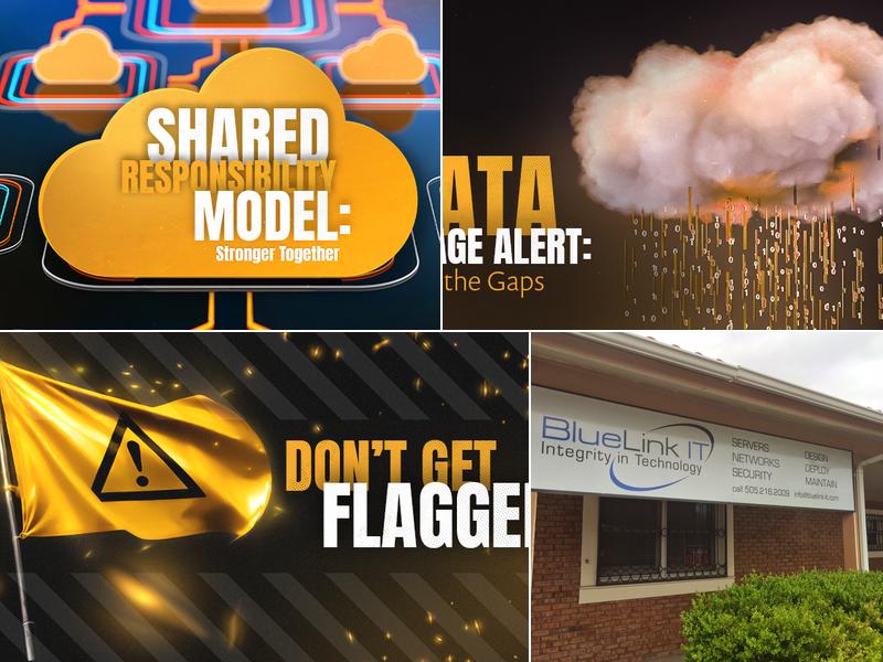 BlueLink IT Solutions, LLC