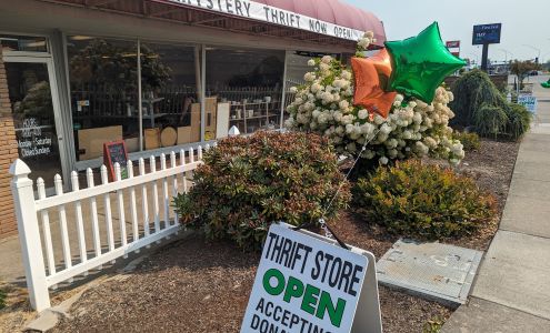 Mystery Thrift Store