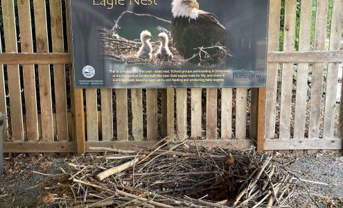 Bald Eagle Interpretive Center Rockport