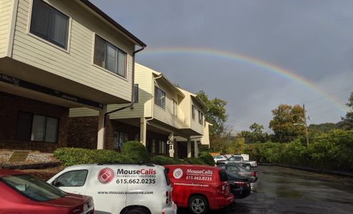 MouseCalls Technology Solutions