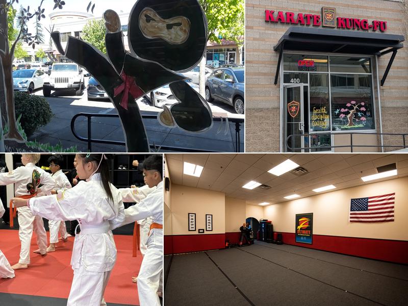 Z-Ultimate Self Defense Studios