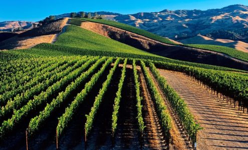 Custom Lending Group