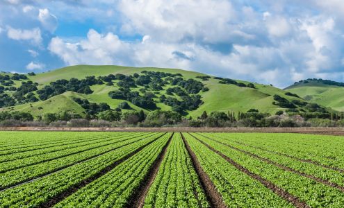 Blue Adobe Mortgage ~ The Mora Team