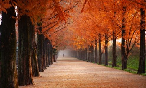 Mary Westphal - Isosceles Mortgage