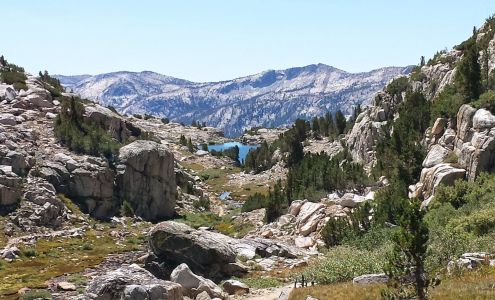 Nicole King - CrossCountry