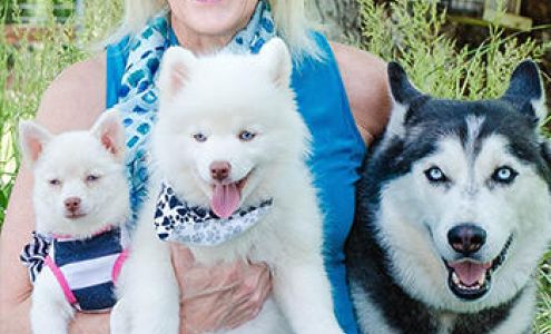 Diane DeSalvo Cunningham at CrossCountry Mortgage, LLC