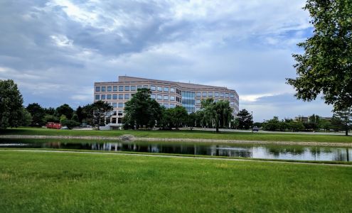 BluePay Processing, LLC Naperville