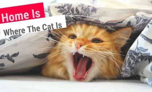 The Hive Mortgage Solutions - Mortgage broker - Maine, USA