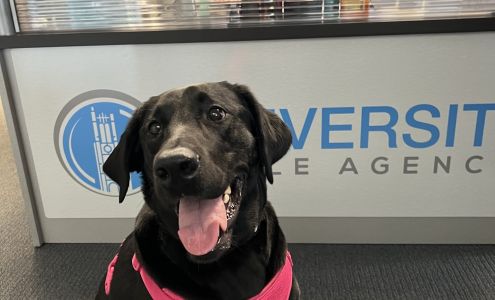 Somerset Lending Corporation.