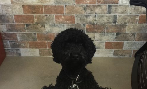 Guild Mortgage - Jim Bakhtiar