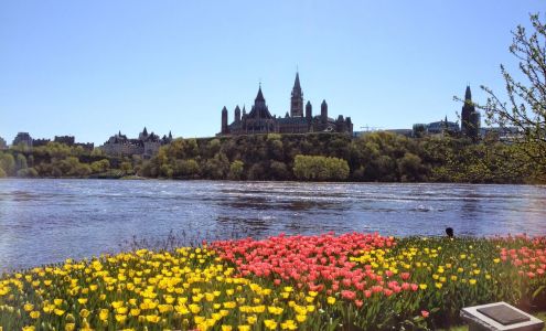 Ottawa Mortgage Broker - Dan Faubert